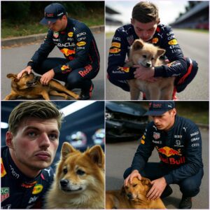 F1 Champion Jumps Out of Supercar to Save Bleeding Dog — What Max Verstappen Did Next Will Floor You!
