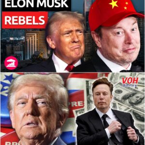 After Backing Trump with $300M, Elon Musk Suddenly Cuts Off Political Funding