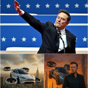 READY FOR TAKEOFF? Elon Musk Just Put a Price Tag on Tesla’s Flying Car