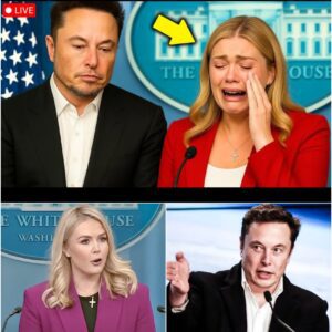 ON-AIR FIRESTORM: Karoline Leavitt Calls Out Elon Musk Over LGBT Ban