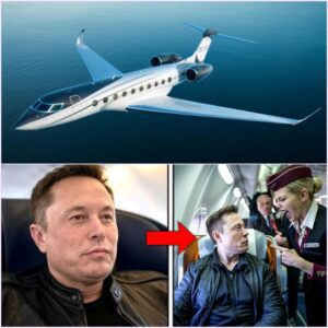 Elon Musk Booted from First ClassโWhat He Did Next Left the Entire Airline Industry Stunned