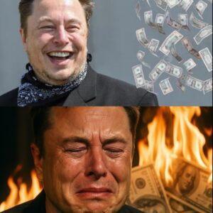 In Just Hours, a Major Incident Erases $44 Billion of Elon Musk’s Net Worth, Dealing a Heavy Blow to the Billionaire...