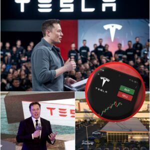 “Elon Musk Unveils Bold New Tesla Vision — Shocks Team, Sparks Instant Market Surge”