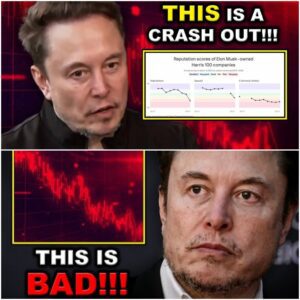 VIDEO: “Elon Musk's Empire Crumbles: Tesla’s Cybertruck Tanks in Value, SpaceX Plummets in Public Trust, and the Billionaire’s Reputation Spirals Amid Accusations of Ethics Failures and Social Harm” - LU