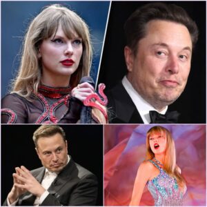 Did Elon Musk Really Say This to Taylor Swift? The Internet Canโt Stop Gasping at His Alleged Offer...