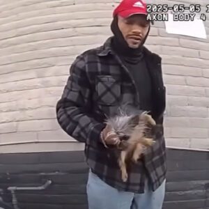 (VIDEO) The video Suspect Throws Small Dog at Police Officer While Attempting Escape has been released, and the ending is incredibly surprising..test