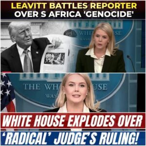VIDEO: White House Press Secretary Sparks Fiery Clash with NBC Over Trump’s ‘Genocide’ Video in Oval Office — Is South Africa’s Crisis Being Ignored or Politicized? - LU