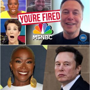 “Elon Musk Reportedly Moves to Buy MSNBC — Vows to Fire Joy Reid in Shock Media Takeover”