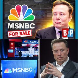 “Elon Musk Targets MSNBC in Surprise Media Power Play — Joy Reid Reportedly First to Go”