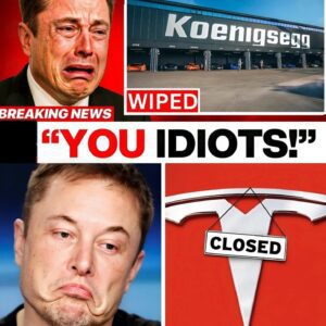 Elon Musk burst into tears and announced his resignation on live broadcast after Koenigsegg launched a new engine – does Tesla still have a future?