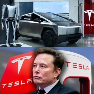 “TESLA IN FREEFALL! Once Touted by Musk as a ‘Rising Asset,’ EV Prices Crash — Is the Golden Era Over?”