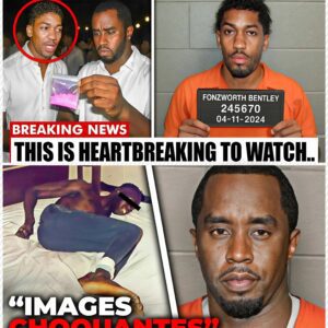 He Was Diddy's Butler/Concubine... It's HARD To Look at Him Now. Freddy said he used to see Diddy straight-up disrespecting Fonzworth all the time. At first, he couldn’t figure out why Fonzworth was just taking it