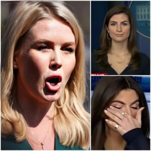 THIS JUST HAPPENED: Reporter FIRED After INSULTING Karoline Leavitt LIVE on TV—The Explosive Moment You Have to See….