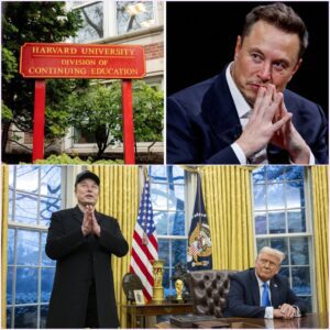 Musk Threatens U.S. Intelligence Exodus, Offers Trump a Deal Only a Dictator Would Love