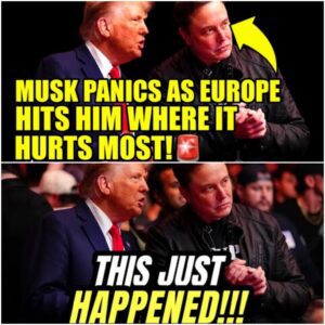 VIDEO: EUROPE Just Made Elon Musk PAY For His MAGA Fascism🚨 - LU