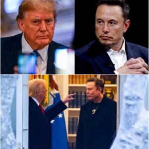 Elon Musk Abruptly Quits Trump Administration Over Shocking “Big and Beautiful” Bill Remark!