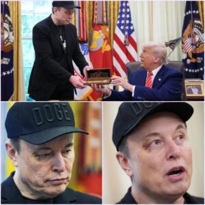 HE’S LYING. HERE’S WHY. THE ELON MUSK BLACK EYE INCIDENT