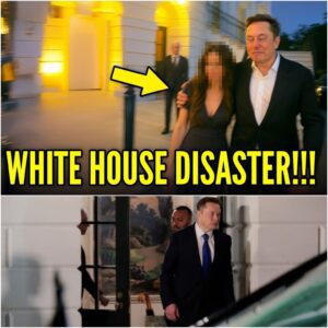 REPORT: Elon Musk TAKES Stephen Miller's Wife - Video