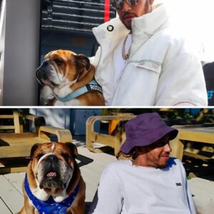Lewis Hamiltoп reveals 'heart stops' wheп he gets text aboυt beloved dog Roscoe
