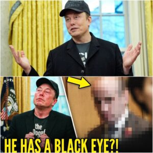 VIDEO: Here's Who REALLY PUNCHED Elon Musk - LU