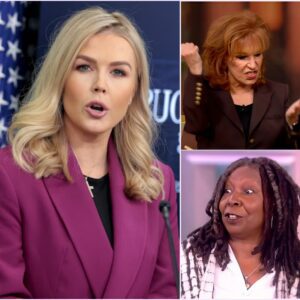 FOX NEWS ERUPTS: Karoline Leavitt Obliterates The View With One Savage Line—Even the Hosts Didn’t See It Coming