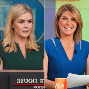 Fans Stunned by Karoline Leavitt’s Outburst at Nicolle Wallace — But the Hidden Truth Changed Everything