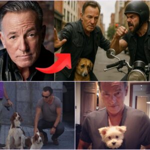 BREAKING: Bruce Springsteen Caught in Intense Confrontation on Busy City Streets—What’s Really Going On Behind This Unexpected Showdown? Plus, Discover the Heartwarming Story of His Deep and Surprising Connection with These Loyal Dogs That No One Saw Coming!
