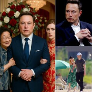 Elon Musk Accidentally Walks Into the Wrong Wedding โ What Happened Next Was Totally Unreal