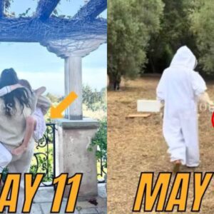 Breaking news: Karoline Leavitt caught selling beekeeping suits in staged video. Viewers pointed out inconsistencies in the child’s appearance compared to recent photos