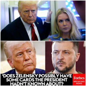 Karoline Leavitt Asked About Trump's Reaction To Ukraine's 'Audacious' Attack On Russian Air Fields