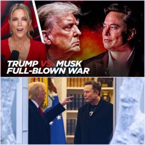 Elon Musk Accuses Trump of Betrayal: "Without Me, Trump Would Have Lost the Election"