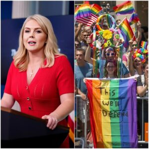 VIDEO: Karoline Leavitt Asked: Would Trump Support The Idea Of Changing Pride Month To ‘Family Month?' - LU