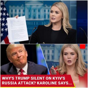 Video: ‘Ukraine’s AUDACIOUS Strike On Russia Crippled…’: Karoline Leavitt Pressed On Trump’s Silence - LU