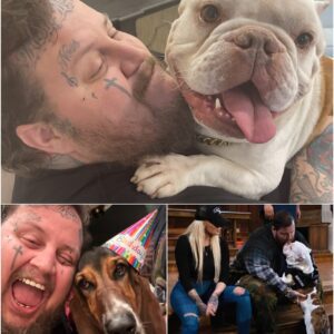 Jelly Roll Breaks Down Over His Dog Rufusโs Cancer Diagnosis โ Fans Flood Social Media in Tears...