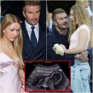 SHOCKING: David Beckham's 17-year-old daughter Harper is reportedly pregnant โ But it's shocking to reveal that the baby's real father is "someone no one expected"โฆ