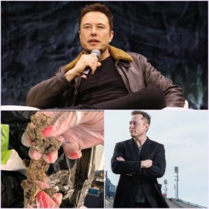 Terrifying Aftermath: Elon Musk’s DOGE Army Leaves White House Offices in Ruin, Drugs and Damage Uncovered