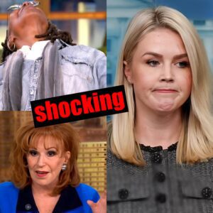 FOX NEWS ERUPTS: Karoline Leavitt Obliterates The View With One Savage Line—Even the Hosts Didn’t See It Coming