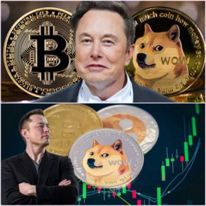 Elon Musk's Influence on Dogecoin Sparks Market Volatility and Investor Concerns