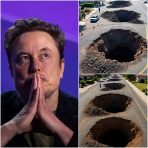 Breaking News: Elon Musk Warns: Massive Sinkholes Tearing Through California Suburbs May Signal the Start of a Wave of Natural Disasters Fueled by Human Environmental Destruction t