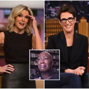 Megyn Kelly Slams Rachel Maddow For Implying Her Bosses are Racist On-Air After Joy Reid Firing (Video) n