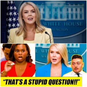 VIDEO: Karoline Leavitt SHUTS DOWN reporter's "stupid question" in front of the whole press room - LU