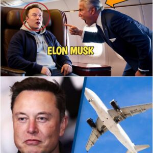 HOLY SH*T: Airline Downgraded Elon Musk's Seat—8 Minutes Later, the Airline President Appeared