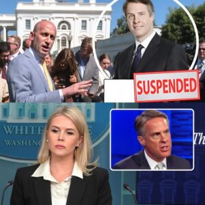 Breaking news — Karoline Leavitt sparks nationwide uproar after demanding ABC discipline veteran journalist Terry Moran for criticizing “the leader of the conservative movement,” leading to Moran’s sudden suspension.