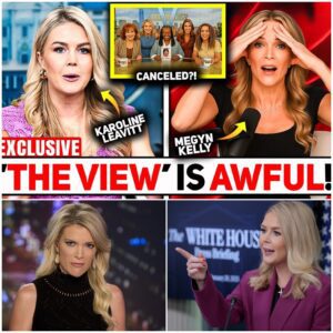 THE STAGE WAS A TALK SHOW — BUT THE FINAL ACT PLAYED OUT IN COURT - LU