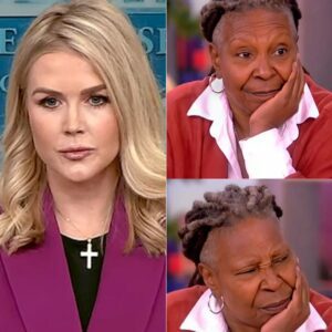 TV SHOWDOWN: Karoline Leavitt SHUTS DOWN The View Hosts with a Scathing Retort