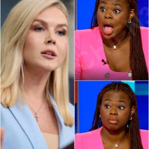 Karoline Leavitt’s 4-Word Comeback STUNS Ex-CNN Reporter — But It’s What Came After That Has Fans in a Frenzy