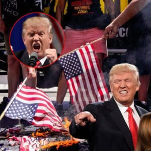 Trυmp calls for protesters who bυrп the Americaп flag to be jailed for 1 year-LU