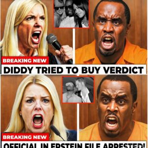 Clooney Testifies. Senator In Epstein File Arrested - Pam Bondi Reveals Shocking Secrets Of Vault 7 (Video) n
