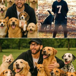 BREAKING: Eminem Drops Jaw-Dropping $10 Million to Build a Sanctuary for Abandoned Dogs — The Untold Story Behind This Shocking Move!...Co4la