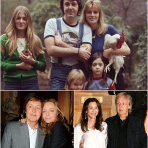 SAD NEWS: 15 MINUTES AGO IN LONDON, ENGLAND. AT THE AGE OF 82, THE FAMILY OF MUSIC LEGEND PAUL MCCARTNEY JUST ANNOUNCED URGENT NEWS TO HIS FOLLOWERS THAT PAUL MCCARTNEY IS CURRENTLY…
